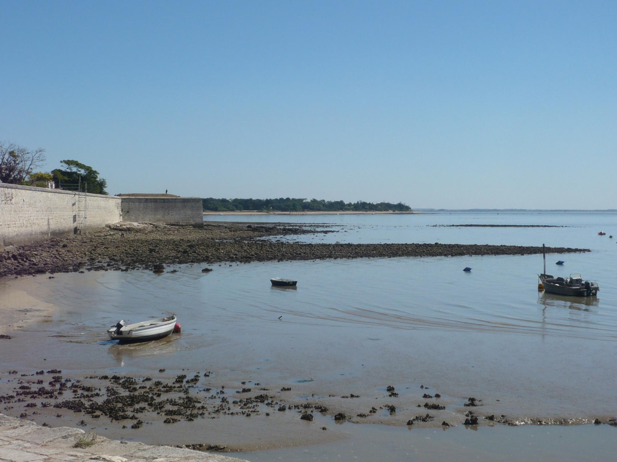 A la découverte des fruits de mer - Liaisons maritimes fouras / Île d'Aix
