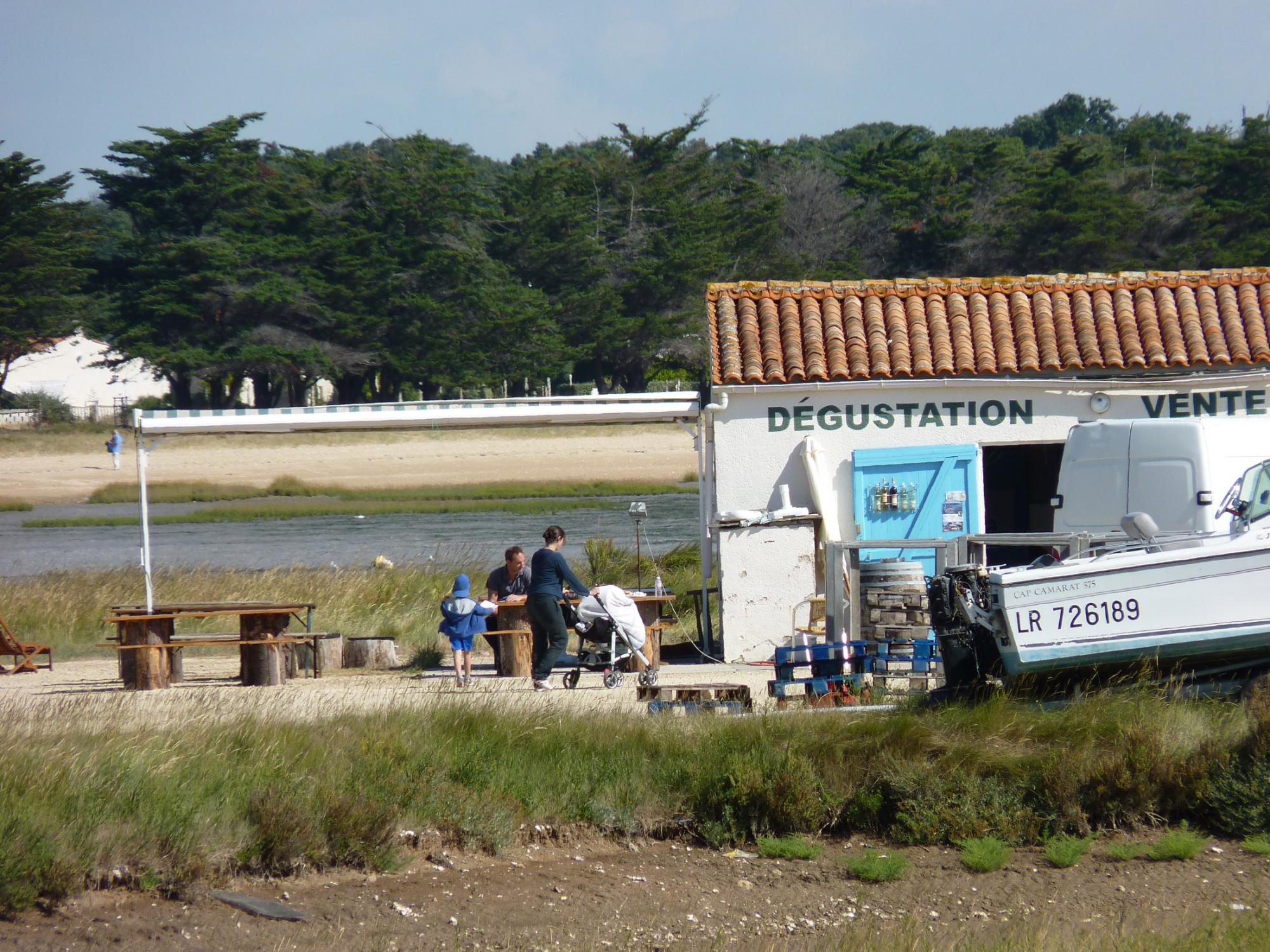Discovering Aix island's oysters - Crossings by ferry boats Fouras / Aix island